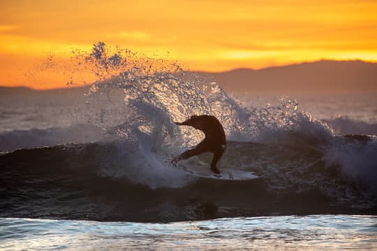 Surfer carving on a wave at sunset with spray backlit by orange light