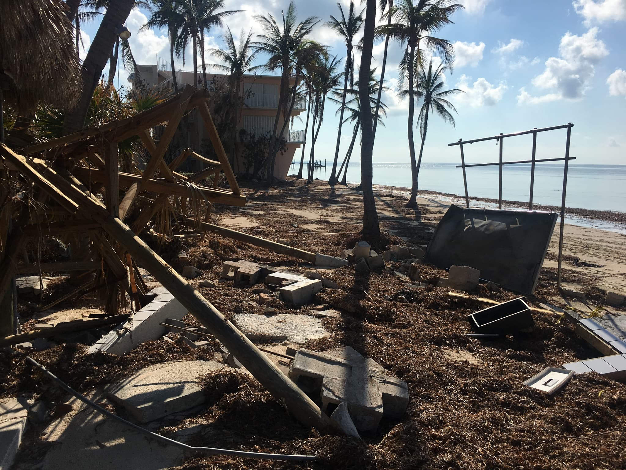 Storm surge debris and broken waterfront structure near palm trees and calm water