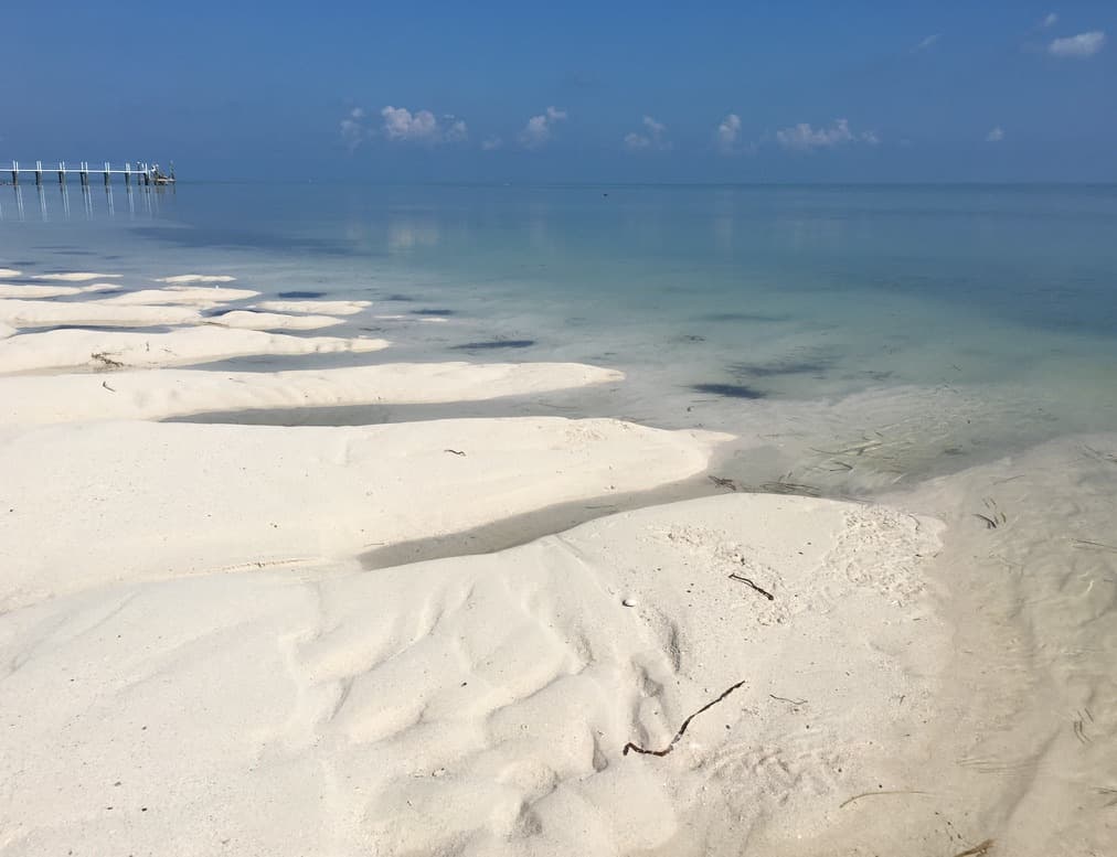 Low tide sandbars and shallow water at a quiet Florida shoreline