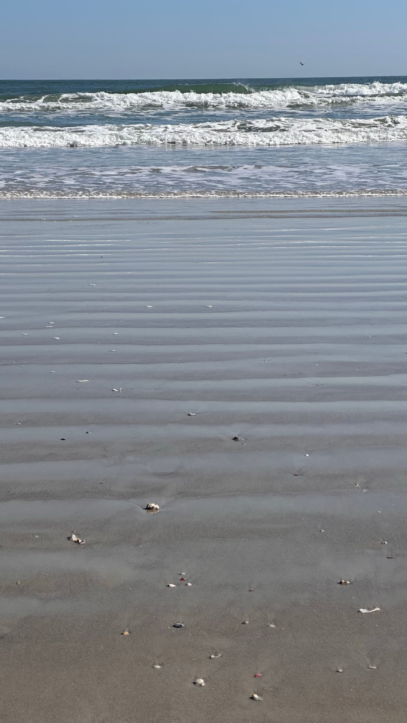 Rippled wet sand with waves breaking beyond the shoreline on a Florida beach