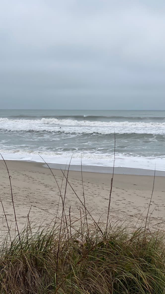 Ocean surf viewed from behind beach dunes and sea grass