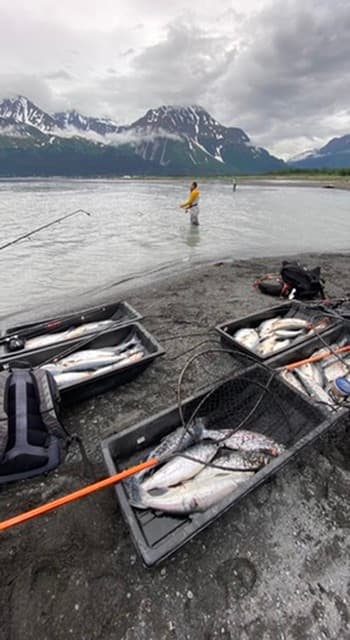 Angler standing in shallow water beside trays of fish on a rocky shoreline