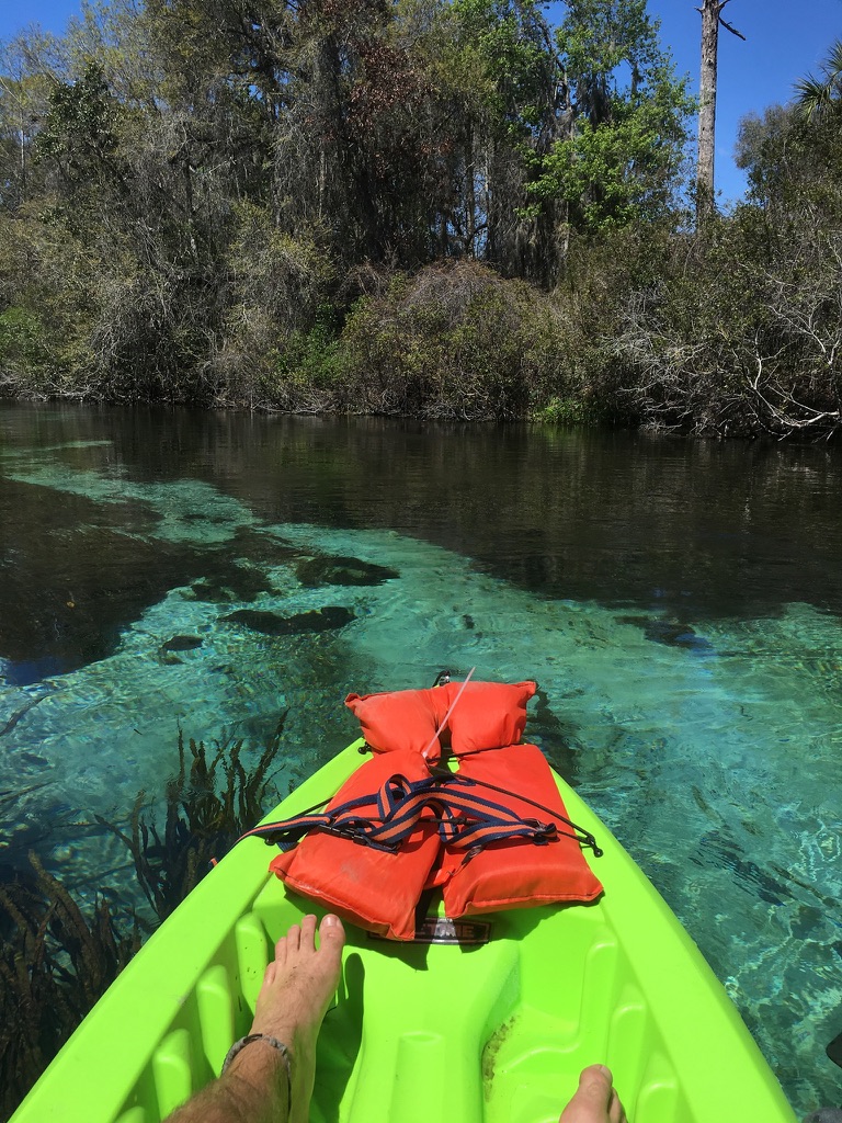 Green kayak floating over clear water near a wooded Florida shoreline